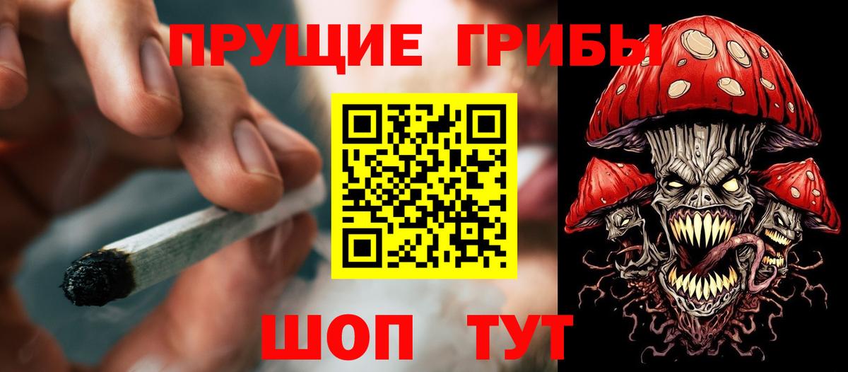 Псилоцибиновые грибы Psilocybine cubensis  Вход с VPN  Сегежа 